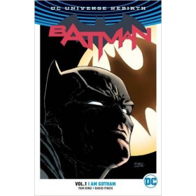 Batman Vol 01 I Am Gotham TPB